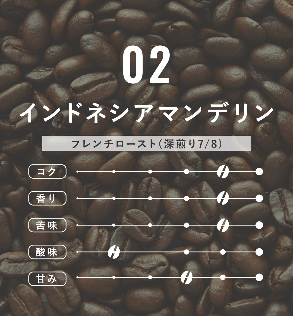 02 インドネシアマンデリン【 豆/粉 】卸価格 100g