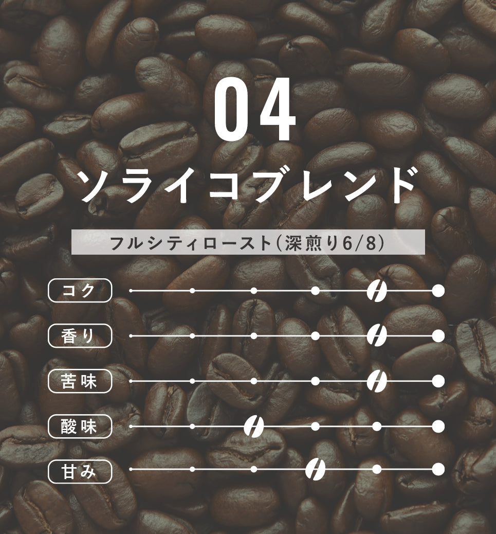 04 ソライコブレンド【水出し】卸価格_10個入